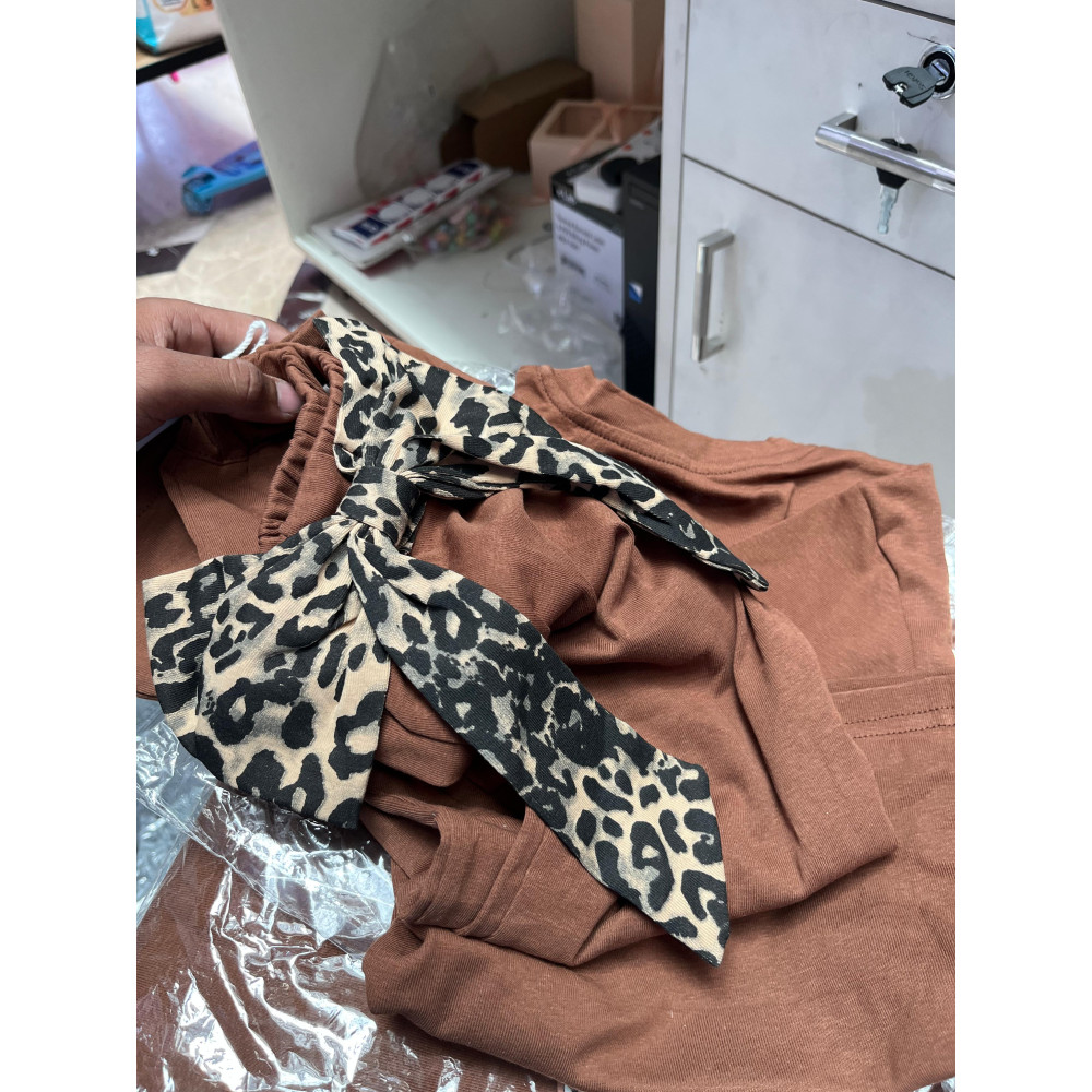 BROWN ANIMAL 2 PCS SET